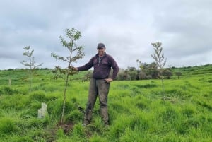 Auckland: Yksityinen lampaiden ja naudanlihan tuotantotilan kierros