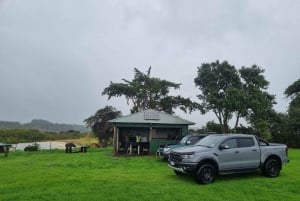 Auckland: Yksityinen lampaiden ja naudanlihan tuotantotilan kierros