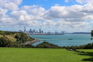 Auckland: Private Sunset Tour