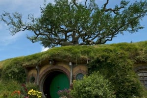 Privat transport fra Auckland til Hobbiton og Blue Springs