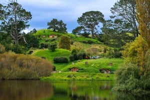 Privat transport fra Auckland til Hobbiton og Blue Springs
