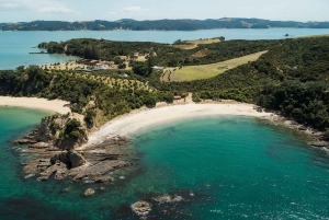 Auckland: Tour combinado a la isla Rotoroa y la bodega Man O'War Vineyard