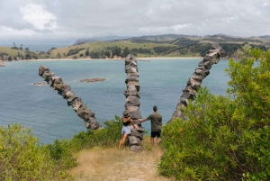 Auckland: Tour combinado a la isla Rotoroa y la bodega Man O'War Vineyard
