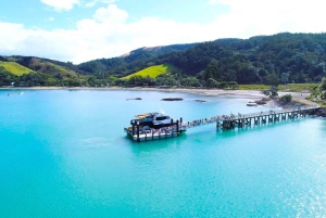 Auckland: Tour combinado a la isla Rotoroa y la bodega Man O'War Vineyard