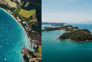 Auckland: Rotoroa Island og Man O'War Vineyard Combo Tour