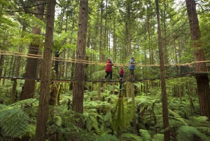 Окленд: Роторуа Ваи-О-Тапу и комбинации активностей