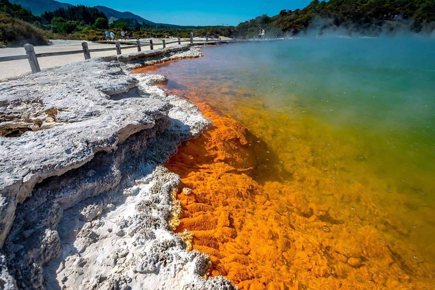 Auckland: Rotorua Wai-O-Tapu, Te Puia con Haka