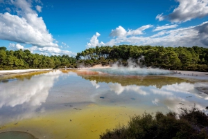 Auckland: Rotorua Wai-O-Tapu, Te Puia med Haka