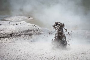 Auckland: Rotorua Wai-O-Tapu, Te Puia med Haka