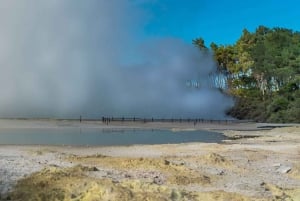 Auckland: Rotorua Wai-O-Tapu, Te Puia med Haka
