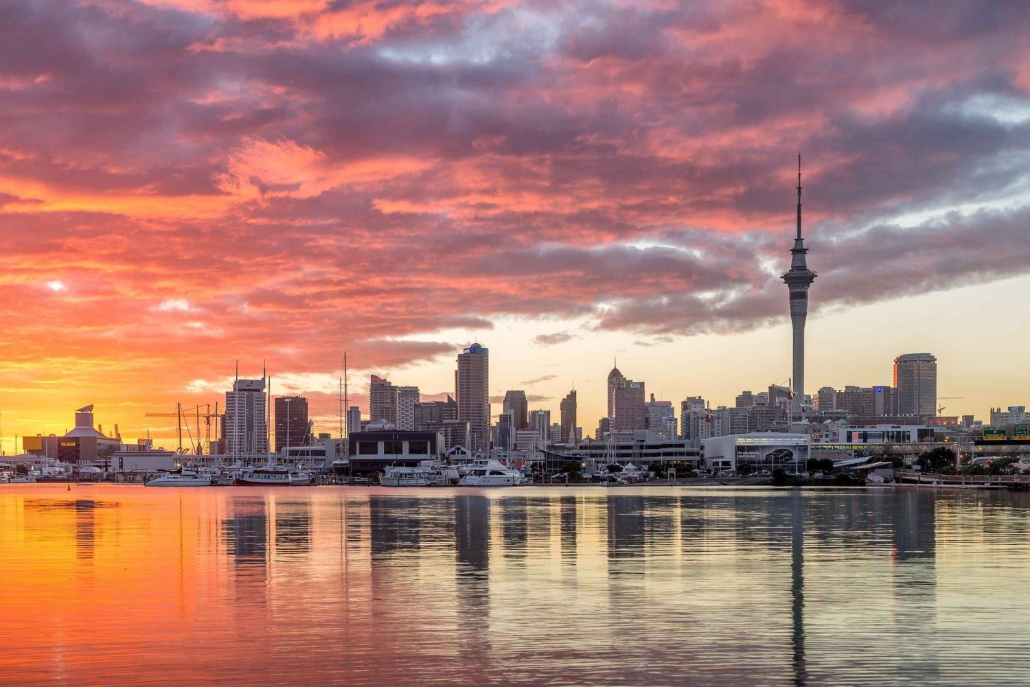 Auckland : visite panoramique d'une demi-journée