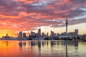 オークランド：景観都市発見半日ツアー