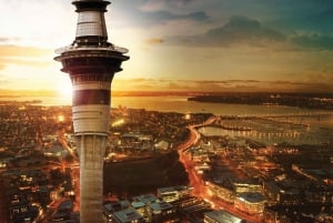 Auckland: Scenic City Discovery Half-Day Tour