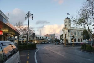 Auckland: Scenic City Discovery Half-Day Tour