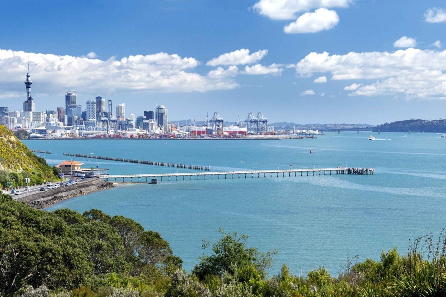 auckland half day tours