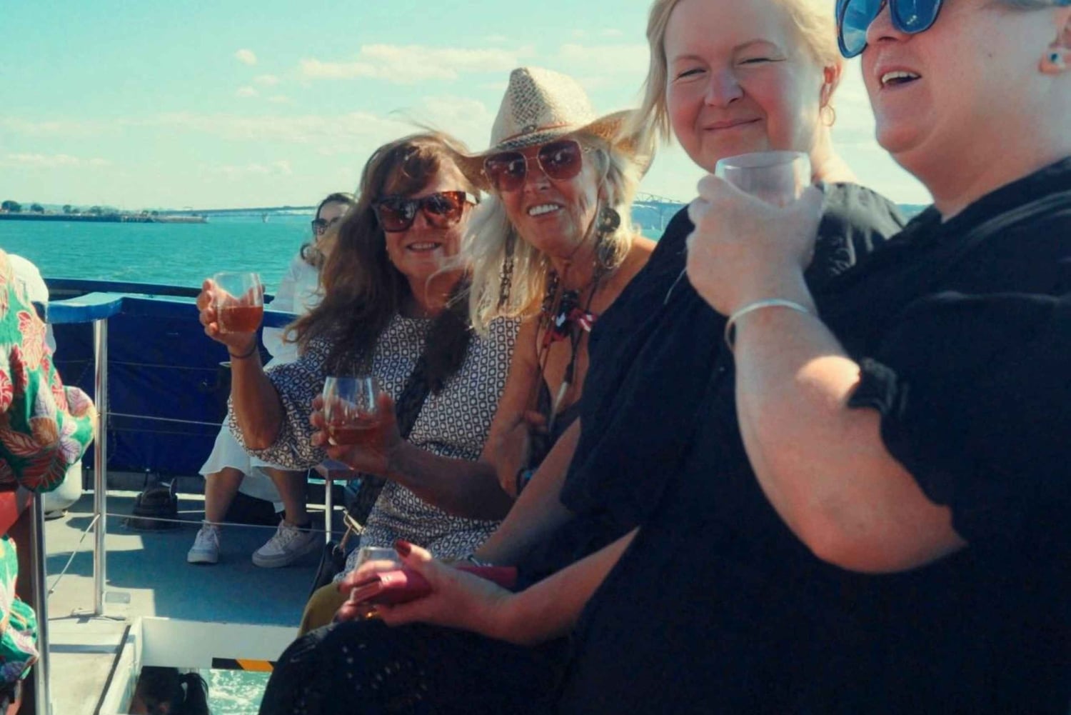 Auckland: Naturskön vin- och osthamnkryssning