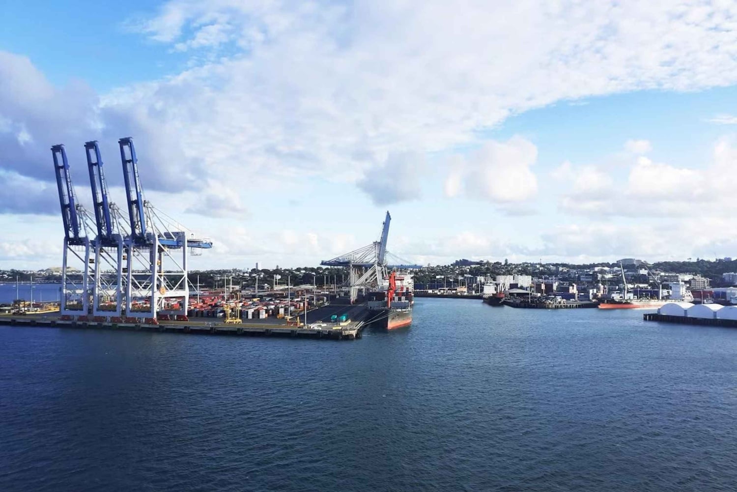 Auckland: Naturskön vin- och osthamnkryssning