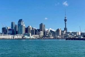 Auckland: Luonnonkaunis viini- ja juustoristeily satamassa