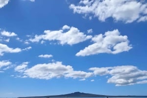 Auckland: Luonnonkaunis viini- ja juustoristeily satamassa