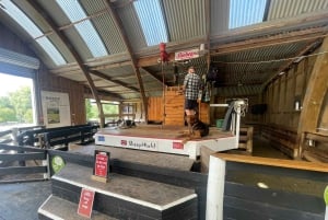 Auckland: Sheepworld, Honey Centre, & Kauri Trail Tour