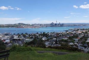 Auckland: Ship to Shore Full-Day Excursion