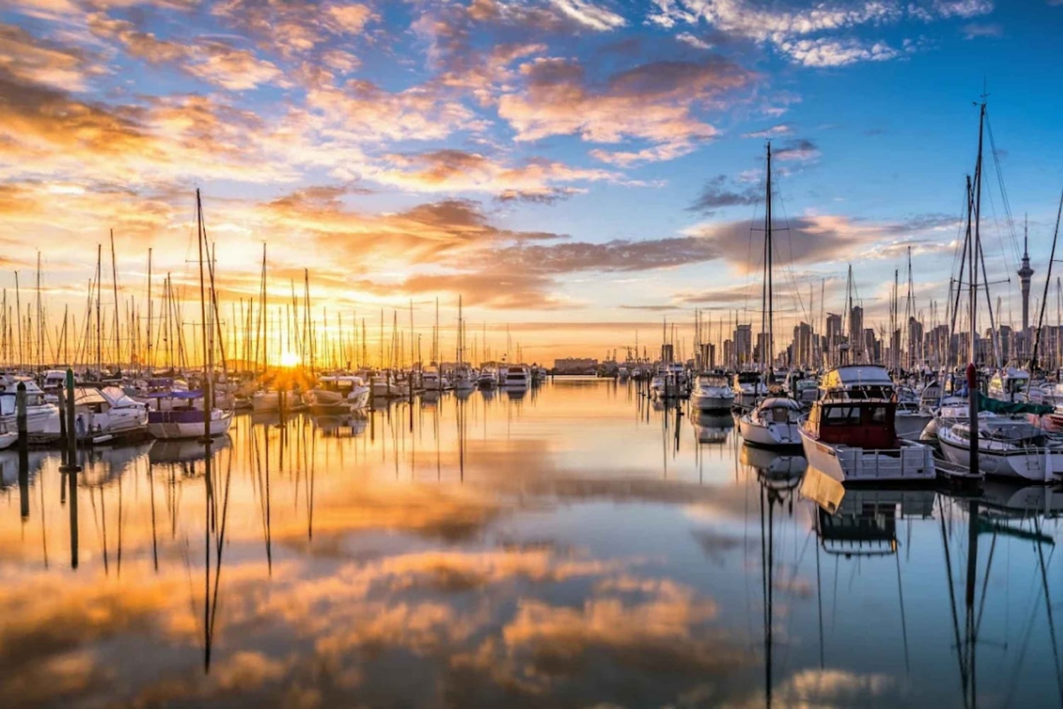 Auckland: Sightseeing Full or Half Day Tour with Mount Eden