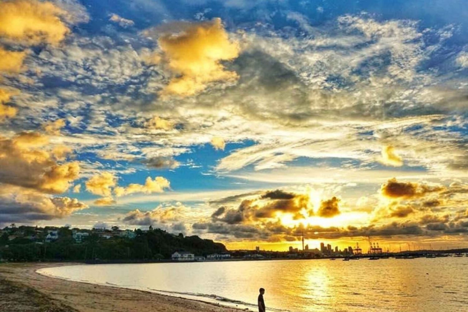 Auckland: Sightseeing Full or Half Day Tour with Mount Eden