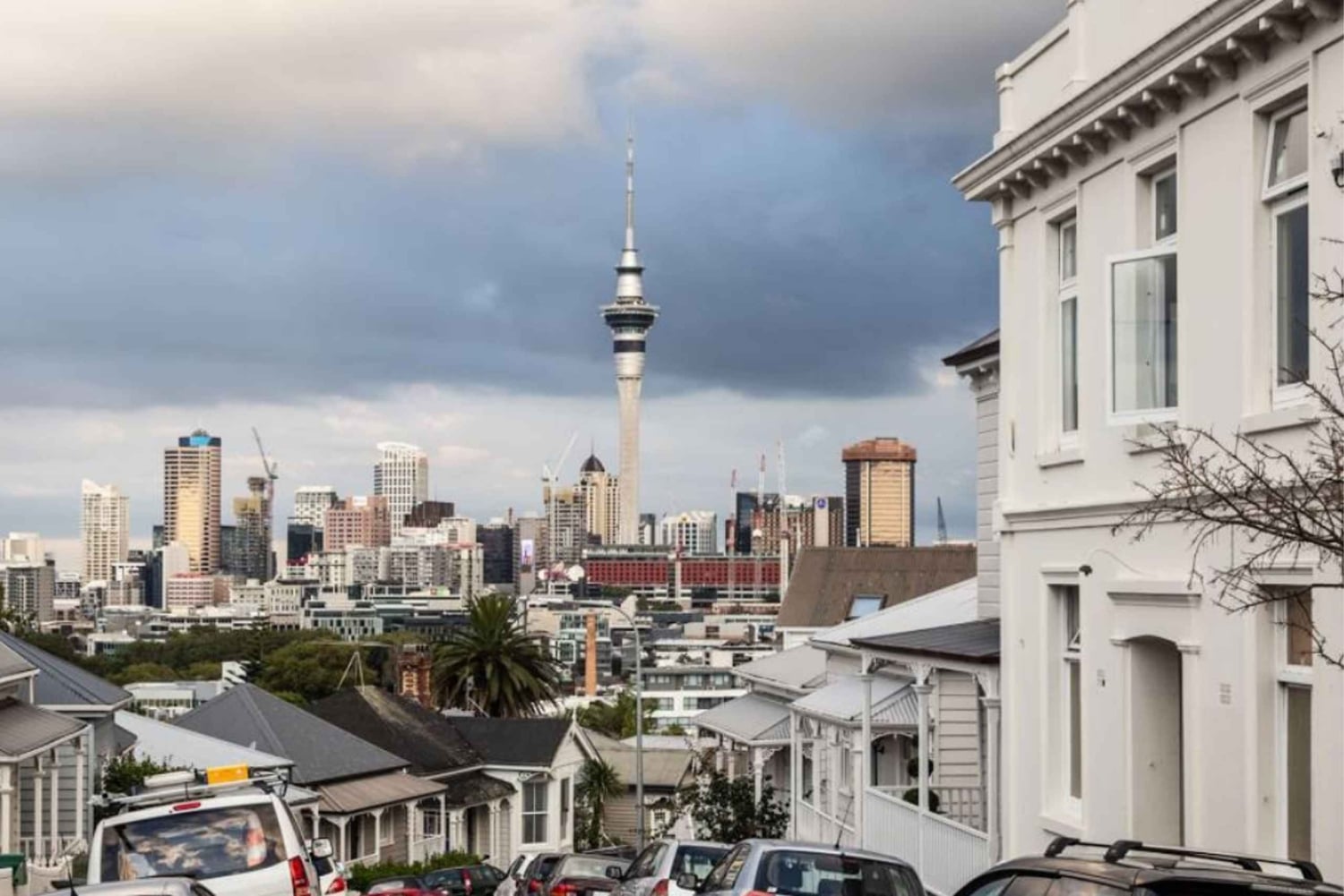 Auckland: Sightseeing Full or Half Day Tour with Mount Eden