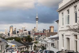 Auckland: Sightseeing Full or Half Day Tour with Mount Eden