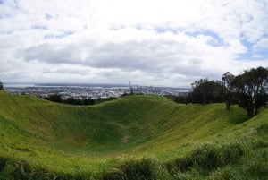 Auckland: Sightseeing Full or Half Day Tour with Mount Eden