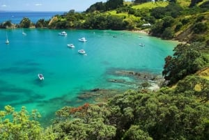 Auckland: Sightseeing Full or Half Day Tour with Mount Eden