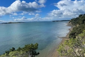 Auckland: Sightseeing Full or Half Day Tour with Mount Eden