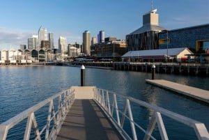 Auckland: Sightseeing Full or Half Day Tour with Mount Eden