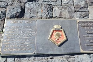 Auckland: Sightseeing Full or Half Day Tour with Mount Eden