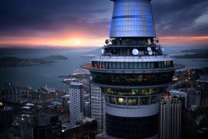 Auckland: SkyJump & SkyWalk Combo