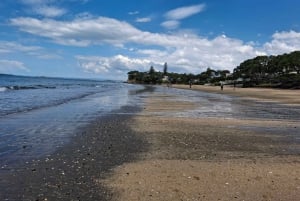 Auckland: mercados dominicales y paseo por la costa