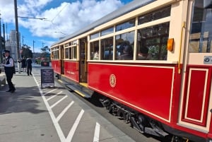 Auckland: mercados dominicales y paseo por la costa