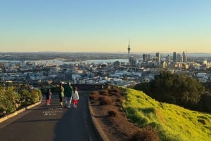 Auckland Sunrise Tour: Mount Eden Summit og morgenudsigt