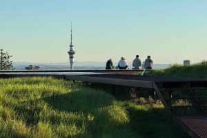Auckland Sunrise Tour: Mount Eden Summit og morgenudsigt