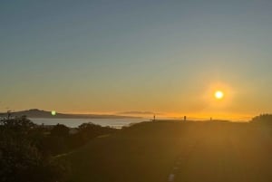 Auckland Sunrise Tour: Mount Eden Summit og morgenudsigt