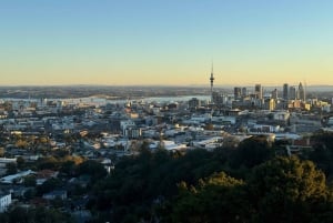 Auckland Sunrise Tour: Mount Eden Summit og morgenudsigt