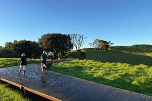 Auckland Sunrise Tour: Mount Eden Summit og morgenudsigt