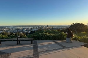 Auckland Sunrise Tour: Mount Eden Summit og morgenudsigt