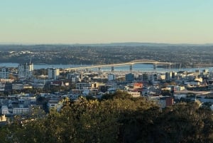 Auckland Sunrise Tour: Mount Eden Summit og morgenudsigt