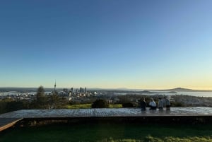 Auckland Sunrise Tour: Mount Eden Summit og morgenudsigt