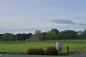 Auckland: Tour al tramonto con piscina termale e degustazione di vino