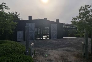 Auckland: Tour al tramonto con piscina termale e degustazione di vino