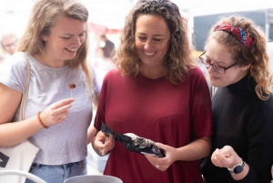 Auckland Tastebud Tour, lokal madtur, vin og historie