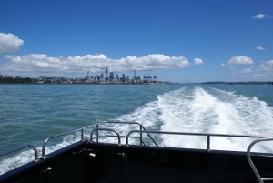 Auckland: Tikapa Moana Whales and Dolphins Wildlife Cruise