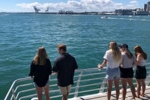 Auckland: Tikapa Moana Whale and Dolphin Wildlife Cruise